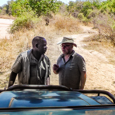 Safaris photo en Afrique