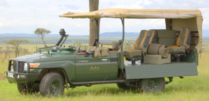 Safaris photo en Afrique