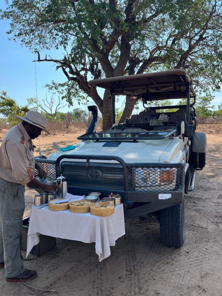 VOYAGE DE NOCES BOTSWANA/CHUTES VICTORIA