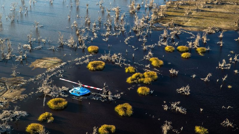 Delta de l'Okavango