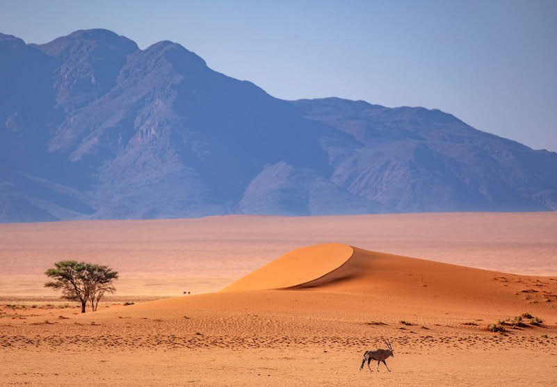 partez a la découverte de la Namibie cet ete