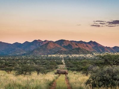 offre speciale best of tswalu