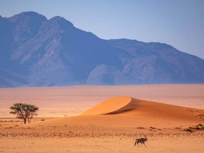 partez a la découverte de la Namibie cet ete