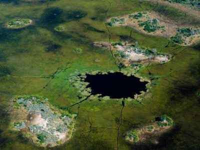 uneteaustralsensationnelaubotswana