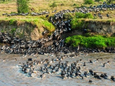 Grande migration en Tanzanie